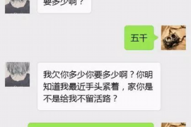 晋宁晋宁的要账公司在催收过程中的策略和技巧有哪些？