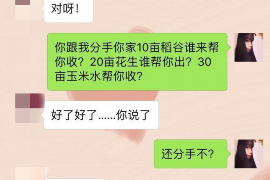 晋宁为什么选择专业追讨公司来处理您的债务纠纷？